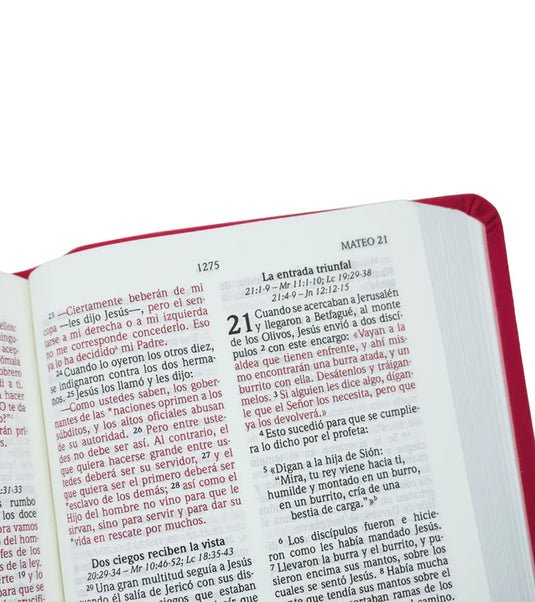 Biblia NVI, Letra Grande, Tamaño Bolsillo, Fucsia tornasol