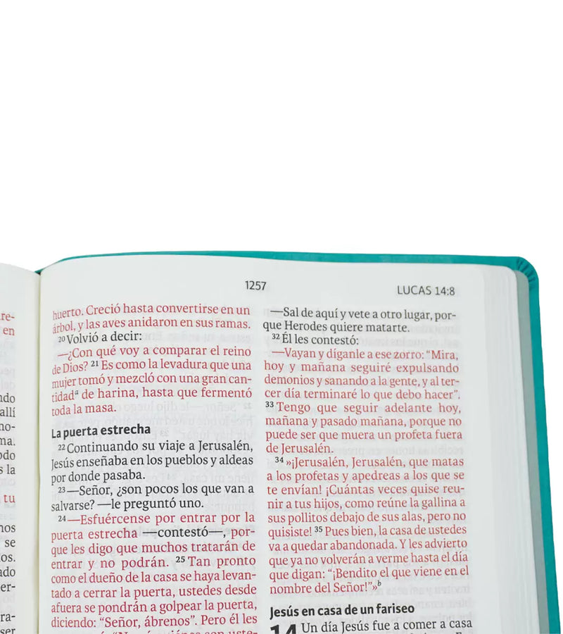 Cargue la imagen en el visor de la galería, Biblia NVI, Letra Gigante, imitación piel aguamarina
