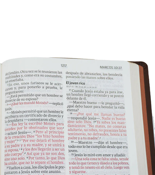 Biblia NVI, Letra Gigante, Cierre zíper, i/piel café