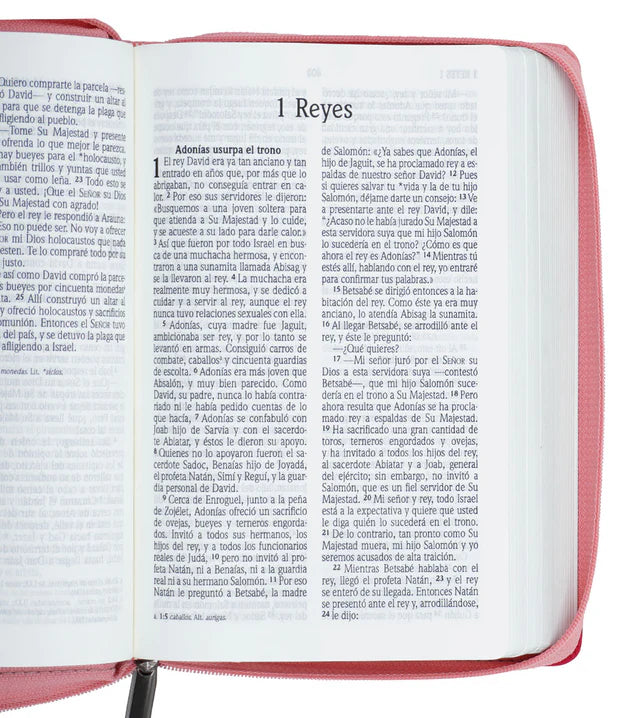 Cargue la imagen en el visor de la galería, Biblia NVI, Tamaño Manual, Letra Grande, Cierre zíper, imitación piel fucsia con rosado
