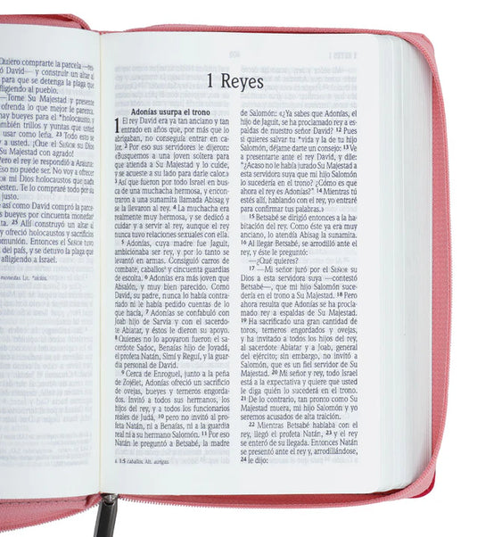 Biblia NVI, Tamaño Manual, Letra Grande, Cierre zíper, imitación piel fucsia con rosado