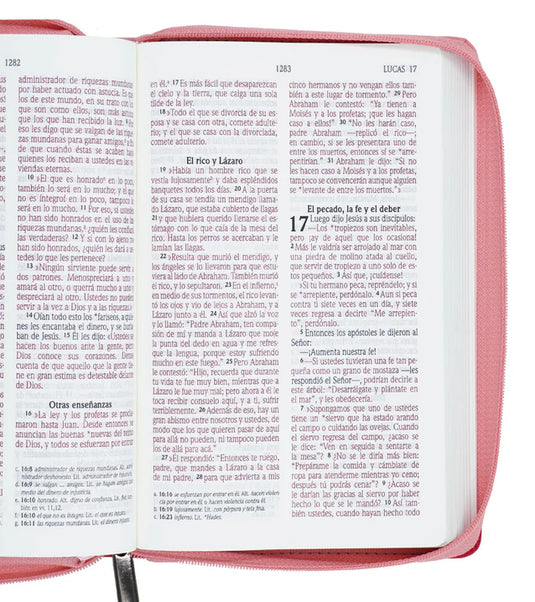 Biblia NVI, Tamaño Manual, Letra Grande, Cierre zíper, imitación piel fucsia con rosado