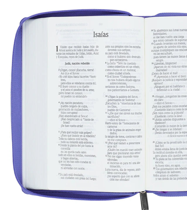 Cargue la imagen en el visor de la galería, Biblia NVI, Tamaño Manual, Letra Grande, Cierre zíper, Lila
