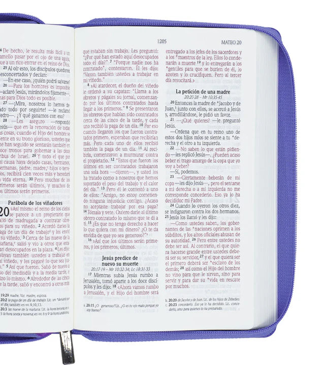 Cargue la imagen en el visor de la galería, Biblia NVI, Tamaño Manual, Letra Grande, Cierre zíper, Lila
