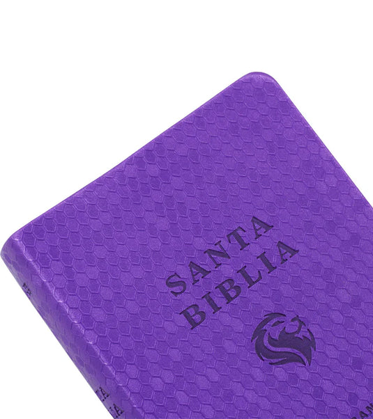 Biblia NVI, Letra Grande, Tamaño Bolsillo, Panal Violeta