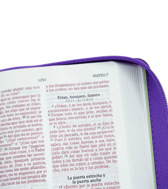 Biblia NVI Letra Grande, Tamaño Bolsillo, Cierre zíper, Panal Violeta