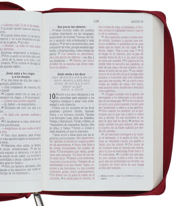 Cargue la imagen en el visor de la galería, Biblia NVI, Tamaño Manual, Letra Grande, Cierre zíper, Vino
