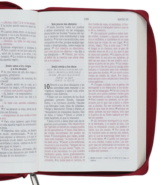 Biblia NVI, Tamaño Manual, Letra Grande, Cierre zíper, Vino