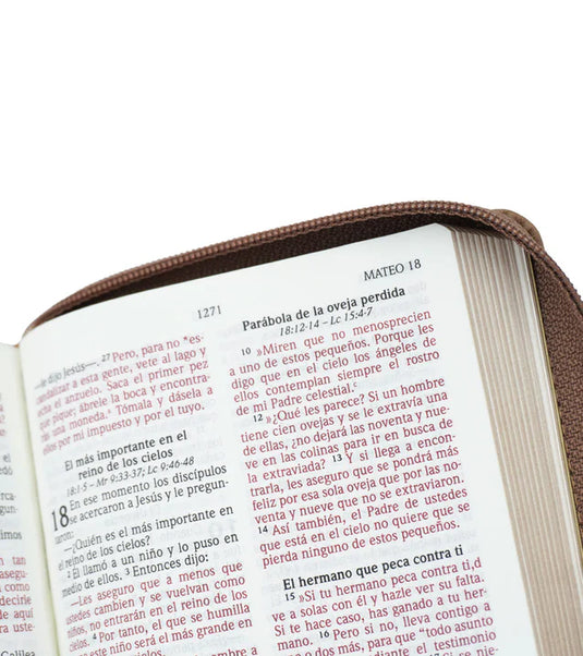 Biblia NVI Letra Grande, Tamaño Bolsillo, Cierre zíper, Marrón claro