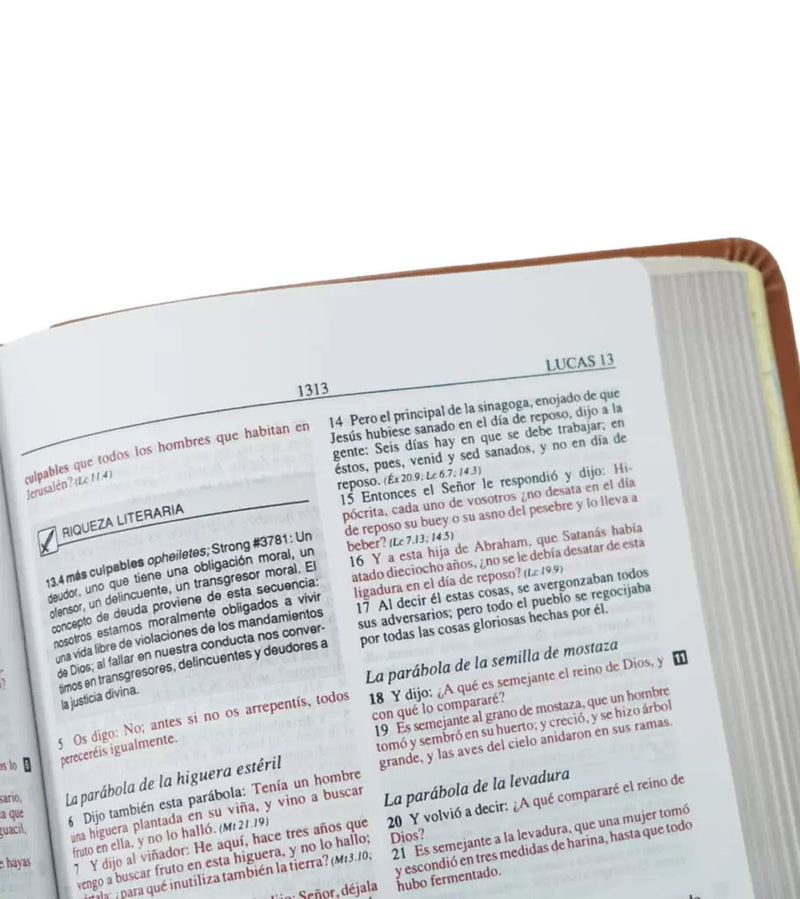 Cargue la imagen en el visor de la galería, Biblia Plenitud RVR 1960, Tamaño Personal, imitación piel café
