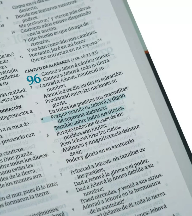 Cargue la imagen en el visor de la galería, Biblia del Pescador RVR 1960, Letra Grande, Tapa dura
