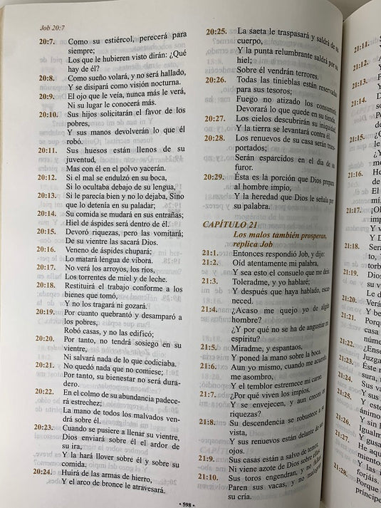 La Santa Biblia RVR 1960 de Lujo