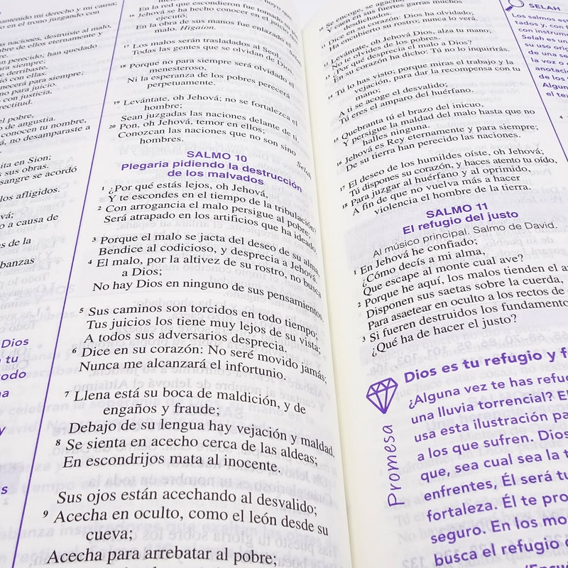 Cargue la imagen en el visor de la galería, Biblia de una Joven Conforme al Corazón de Dios RVR 1960, lujo floral

