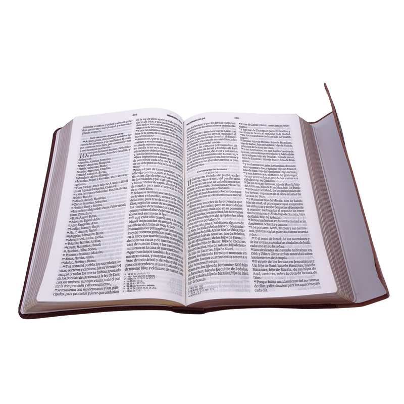 Cargue la imagen en el visor de la galería, Biblia RVR 1960, Letra Grande, agarradera, cierre magnético, imitación piel café
