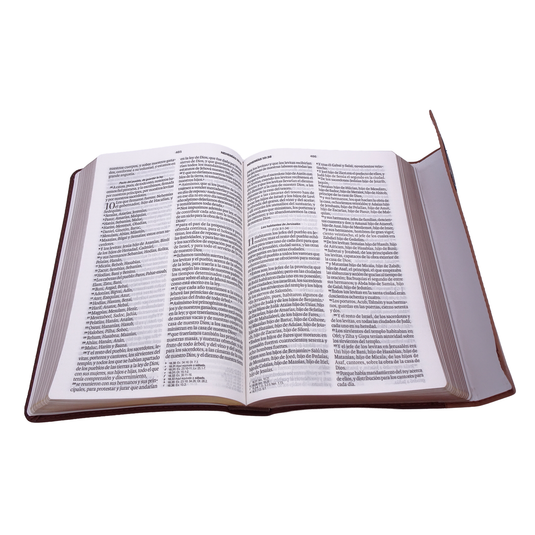 Biblia RVR 1960, Letra Grande, agarradera, cierre magnético, imitación piel café