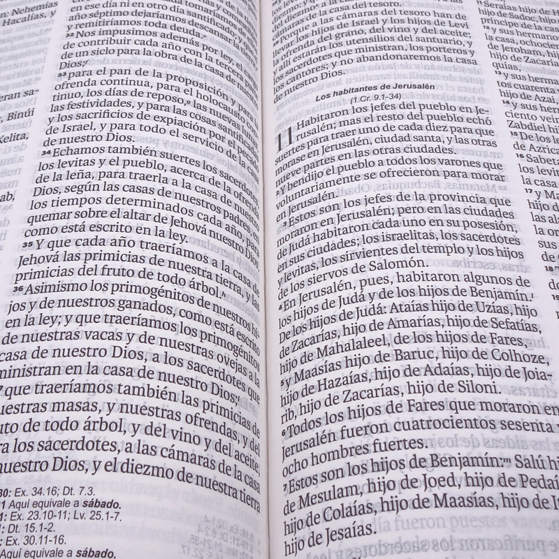 Cargue la imagen en el visor de la galería, Biblia RVR 1960, Letra Grande, agarradera, cierre magnético, imitación piel café
