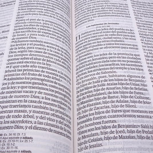 Biblia RVR 1960, Letra Grande, agarradera, cierre magnético, imitación piel café