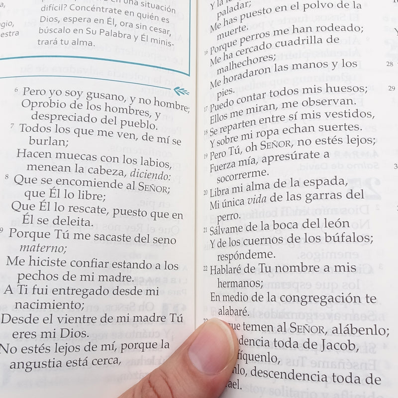 Cargue la imagen en el visor de la galería, Biblia devocional Mujer Verdadera NBLA, Letra Grande,  imitación piel aqua
