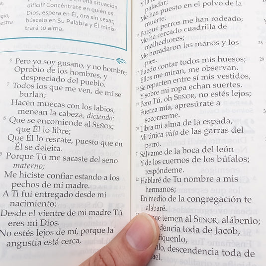 Biblia devocional Mujer Verdadera NBLA, Letra Grande,  imitación piel aqua