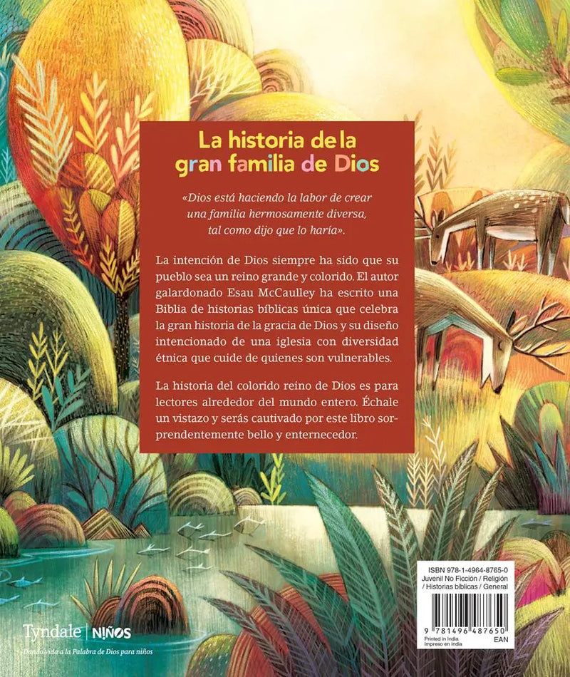 Cargue la imagen en el visor de la galería, El colorido reino de Dios, historias de la Biblia: La historia de la gran familia de Dios
