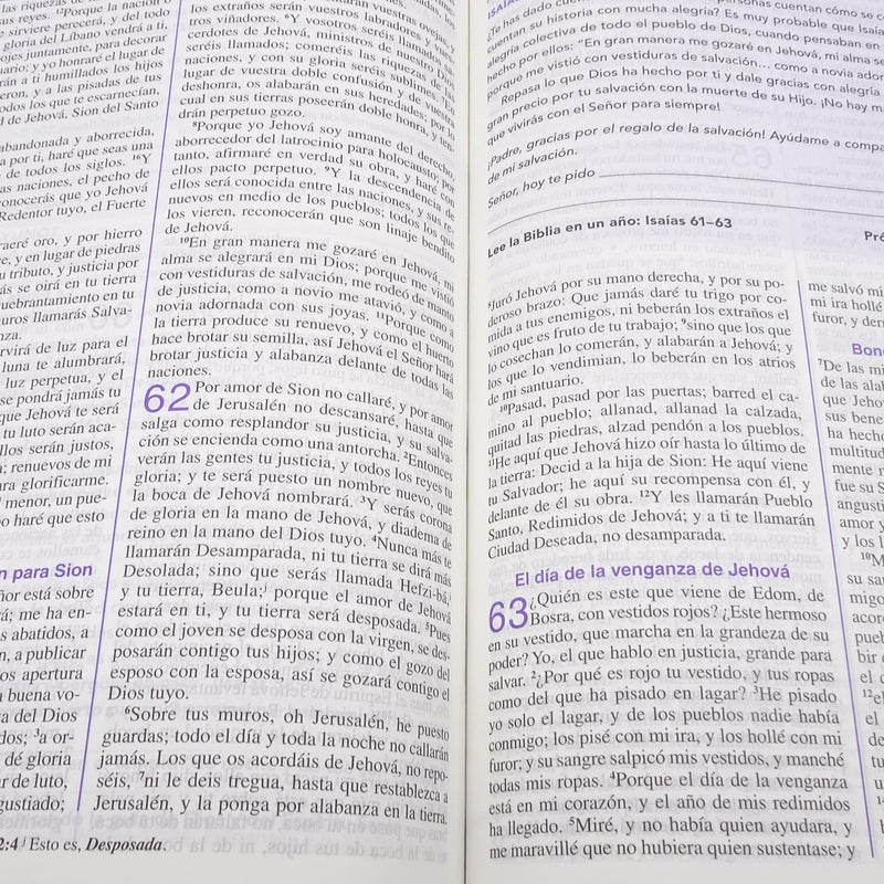 Cargue la imagen en el visor de la galería, Biblia de una Joven Conforme al Corazón de Dios RVR 1960, imitación piel verde

