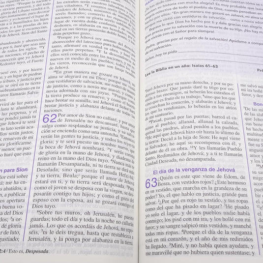 Biblia de una Joven Conforme al Corazón de Dios RVR 1960, imitación piel verde