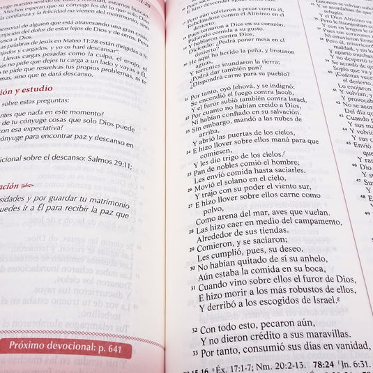 Biblia devocional los Lenguajes del Amor RVR 1960, edición blanca con oro rosa