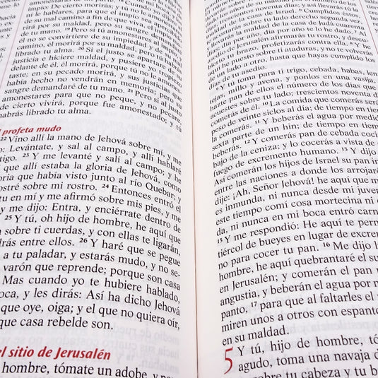 Biblia devocional los Lenguajes del Amor RVR 1960, edición blanca con oro rosa
