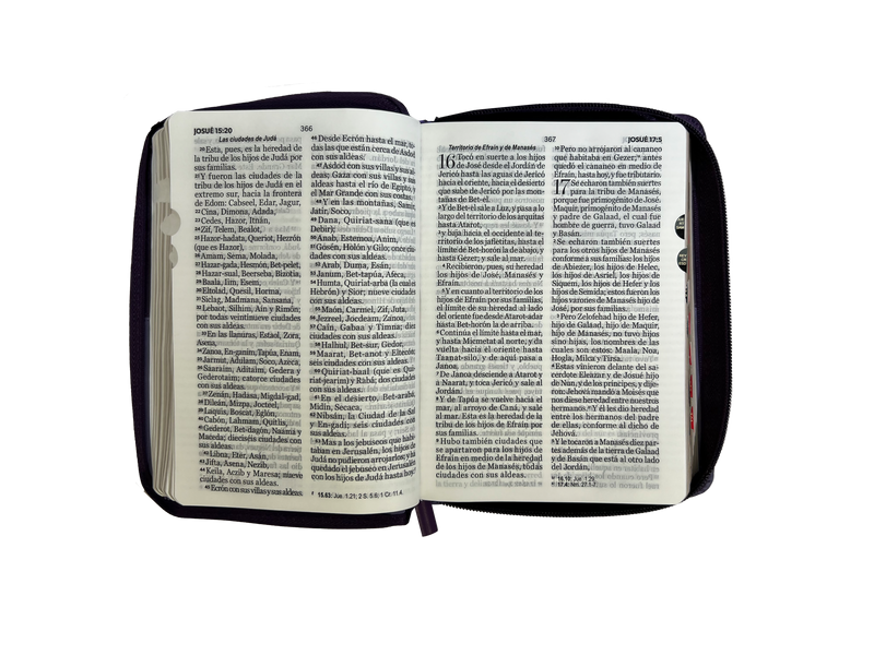 Cargue la imagen en el visor de la galería, Biblia RVR 1960, Tamaño portátil, Cierre zíper, con índice, Letra Grande, imitación piel tonos lila
