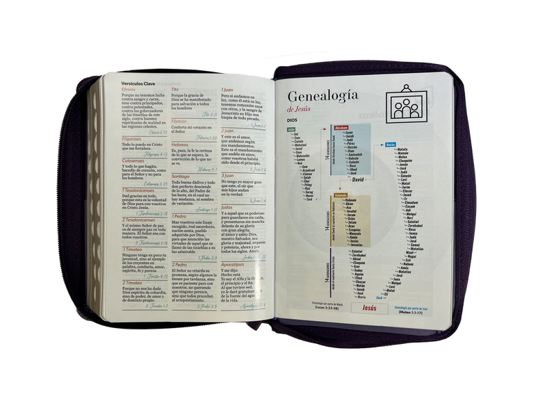 Cargue la imagen en el visor de la galería, Biblia RVR 1960, Tamaño portátil, Cierre zíper, con índice, Letra Grande, imitación piel tonos lila
