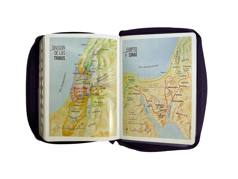 Cargue la imagen en el visor de la galería, Biblia RVR 1960, Tamaño portátil, Cierre zíper, con índice, Letra Grande, imitación piel tonos lila
