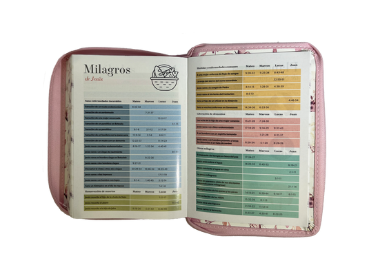 Biblia RVR 1960, Tamaño portátil, Cierre zíper, con índice, Letra Grande, imitación piel rosa mariposas
