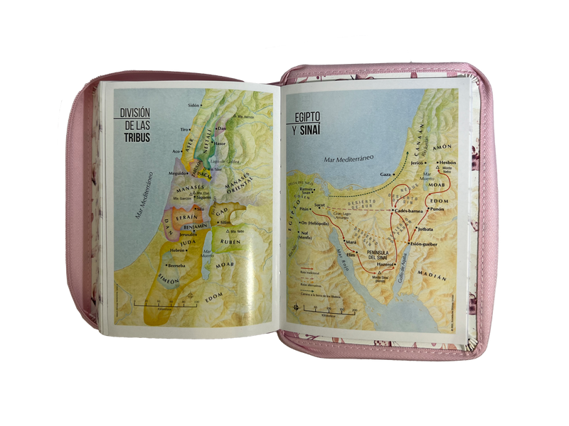 Cargue la imagen en el visor de la galería, Biblia RVR 1960, Tamaño portátil, Cierre zíper, con índice, Letra Grande, imitación piel rosa mariposas

