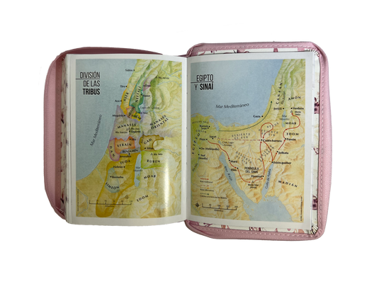 Biblia RVR 1960, Tamaño portátil, Cierre zíper, con índice, Letra Grande, imitación piel rosa mariposas