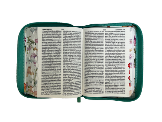 Biblia RVR 1960, Tamaño portátil, Cierre zíper, con índice, Letra Grande, imitación piel turquesa mariposas