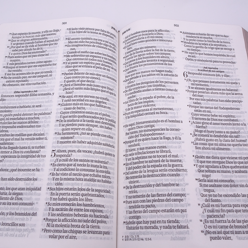 Cargue la imagen en el visor de la galería, Biblia RVR 1960, Letra Grande, agarradera, cierre magnético, imitación piel floral
