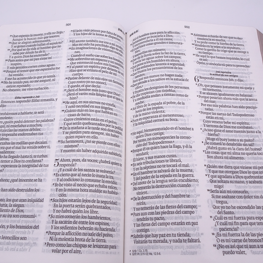 Biblia RVR 1960, Letra Grande, agarradera, cierre magnético, imitación piel floral