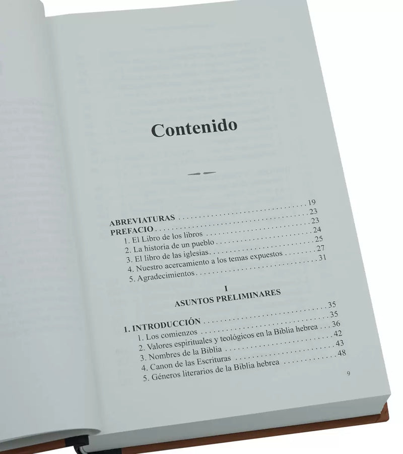 Cargue la imagen en el visor de la galería, Introducción a la Biblia hebrea

