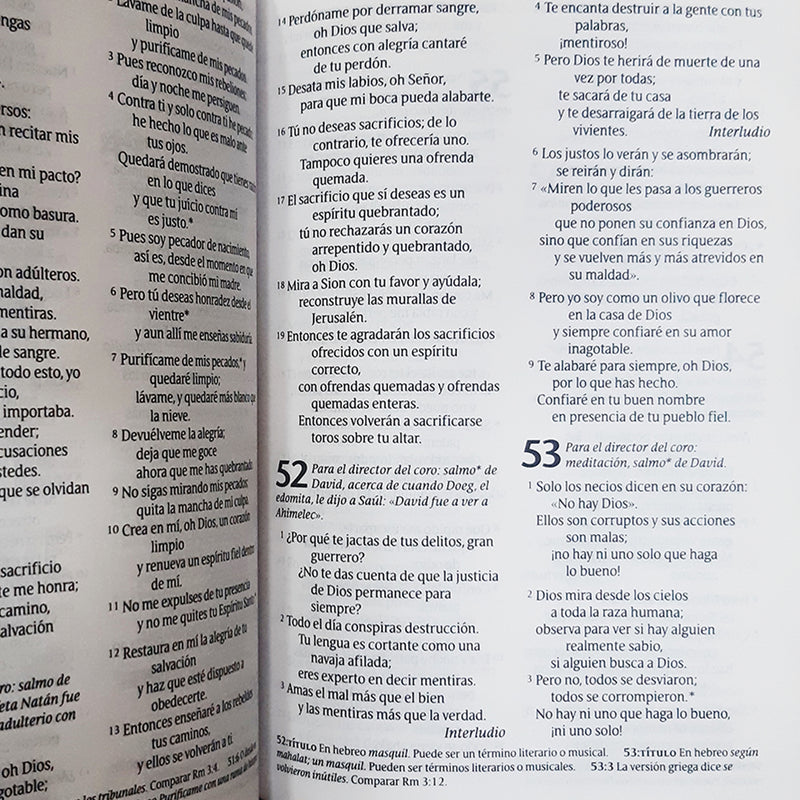 Cargue la imagen en el visor de la galería, Santa Biblia NTV, Edición Zíper con referencias, Letra Grande (SentiPiel, Beige)
