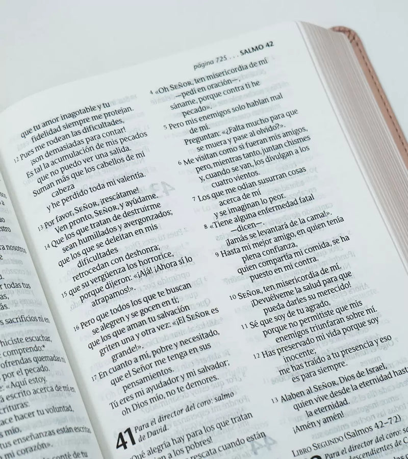 Cargue la imagen en el visor de la galería, Santa Biblia NTV, Edición personal, Letra Grande, imitación piel rosado metálico
