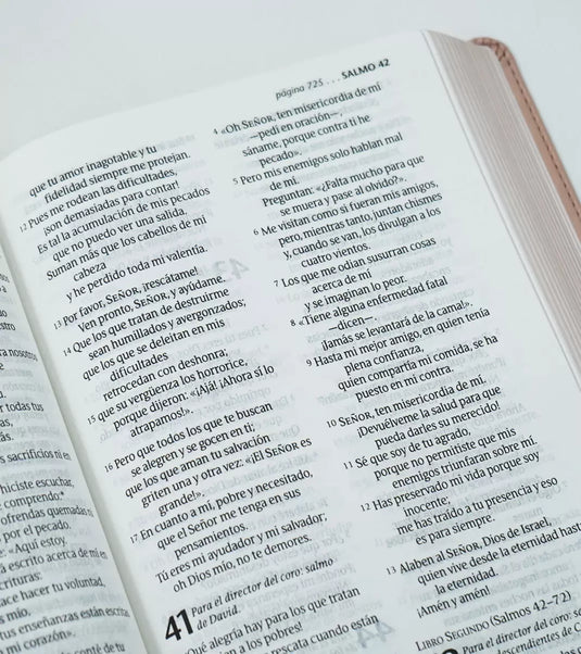 Santa Biblia NTV, Edición personal, Letra Grande, imitación piel rosado metálico