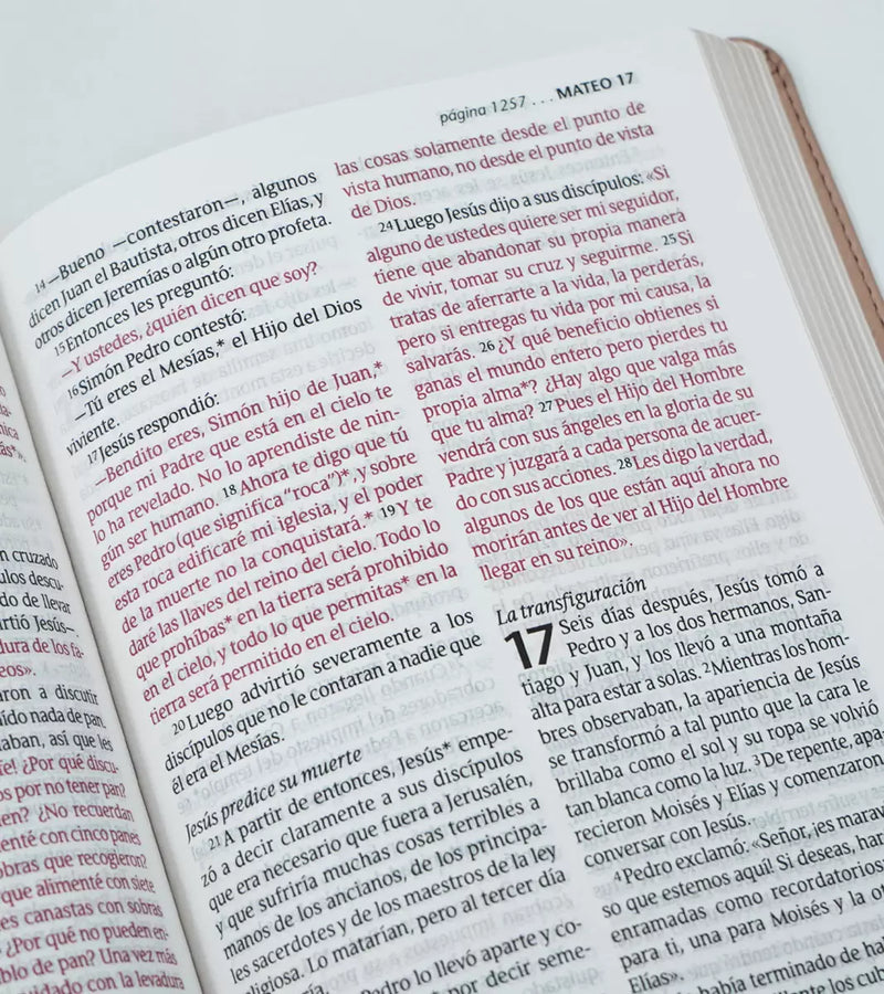 Cargue la imagen en el visor de la galería, Santa Biblia NTV, Edición personal, Letra Grande, imitación piel rosado metálico
