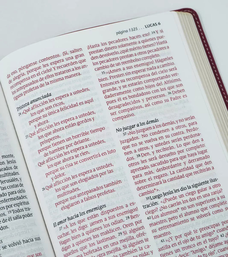 Cargue la imagen en el visor de la galería, Santa Biblia NTV, Edición personal, Letra Grande, imitación piel jardín morado

