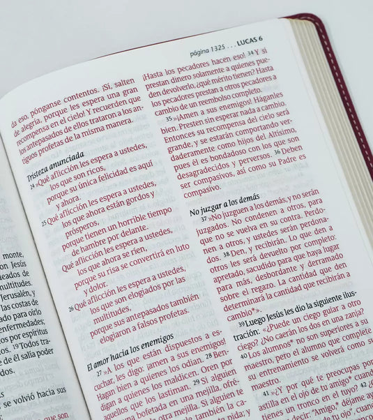 Santa Biblia NTV, Edición personal, Letra Grande, imitación piel jardín morado