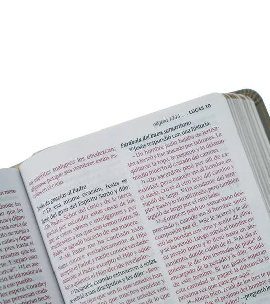 Santa Biblia NTV, Letra Grande, Edición Compacta, SentiPiel Gris/Amarillo