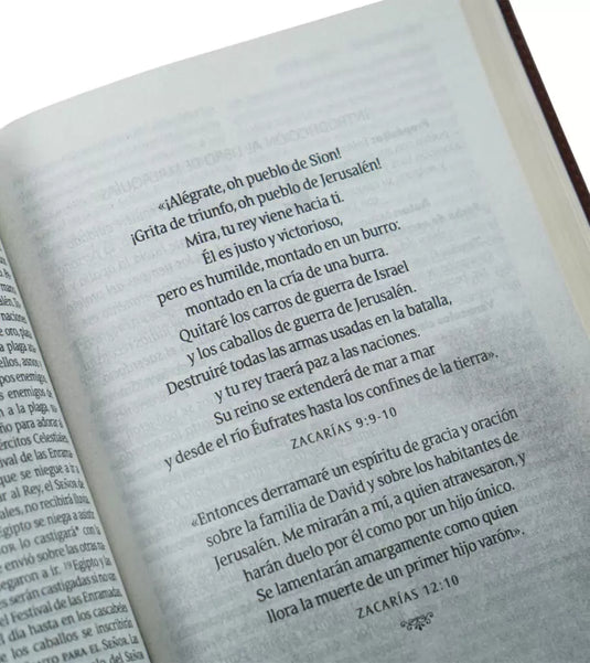Santa Biblia NTV, Edición personal, Letra Grande, Duotono (Sentipiel café/café claro)