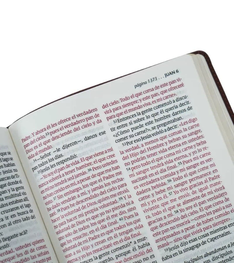 Cargue la imagen en el visor de la galería, Santa Biblia NTV, Edición personal, Letra Grande, Duotono (Sentipiel café/café claro)
