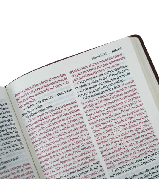 Santa Biblia NTV, Edición personal, Letra Grande, Duotono (Sentipiel café/café claro)