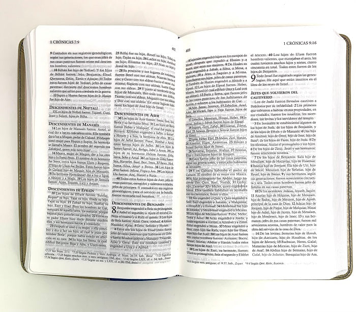 Cargue la imagen en el visor de la galería, Biblia Reina Valera Actualizada 2015, dos tonos piel europea

