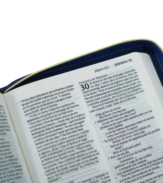 Santa Biblia NTV, Edición zíper (SentiPiel Girasol)